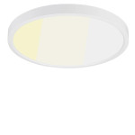 Plafonnier 12" 24W 120V blanc givré dimmable CCT