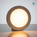 SATIN NICKEL TRIM FOR FM1-12-5CCT