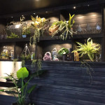LED Kitchen Lighting