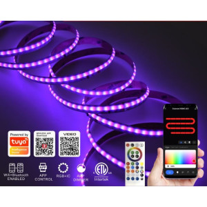 DIGITALSMART 5M IP20 RGB + IC 10mm tapelight