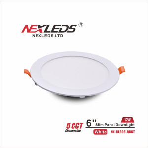 6" MINCE PANNEAU
 DOWNLIGHT WETLOCATION