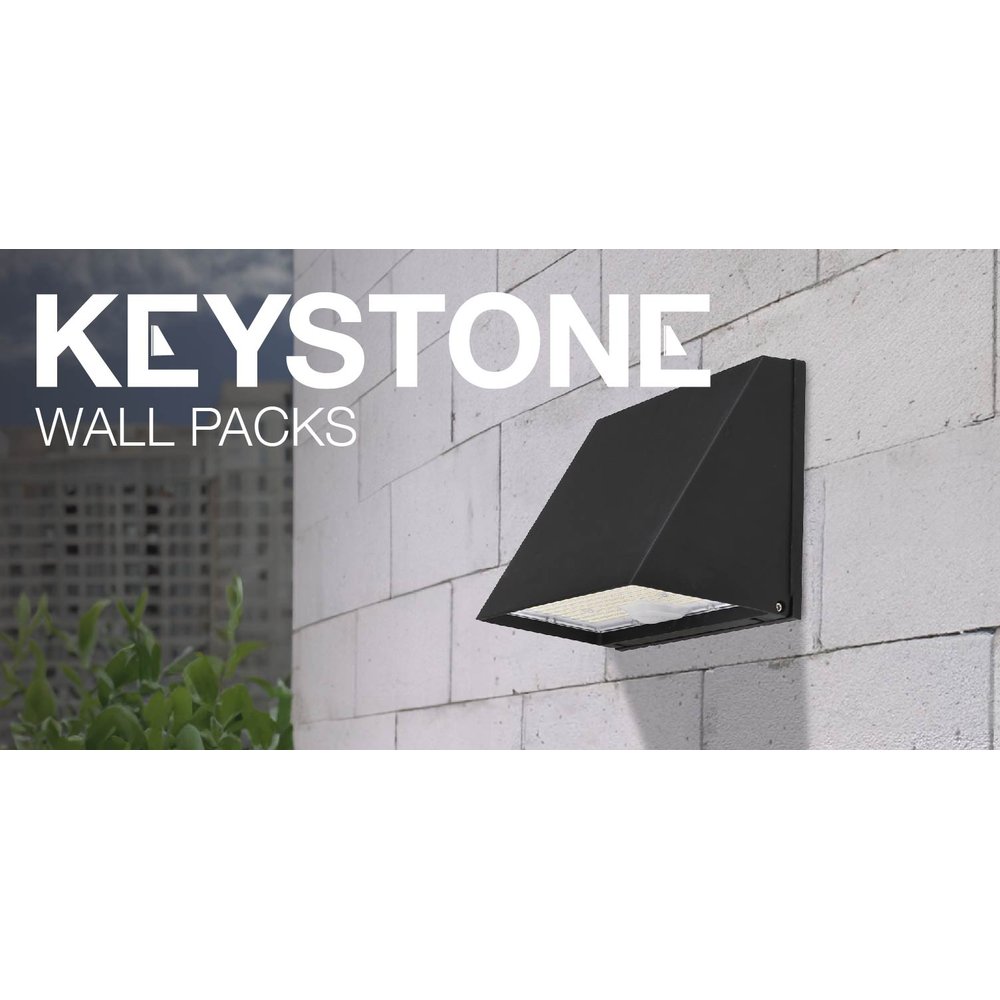 EXPL Linear Explosion Proof Fixture  Hazloc Accessories 4ft Wire Guard