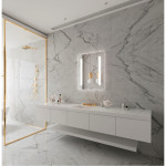 Paris Mirror VERAX48286000