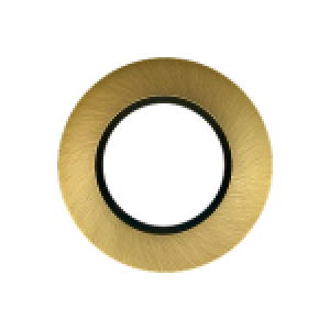 RIGIDCHY 3" DIA. DOWN LIGHT GOLD TRIM SUITABLE FOR RGD-CHY2