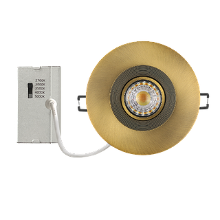 RIGID 4" DIA. GOLD, GIMBAL MODULE & TRIM, SELECTABLE 5CCT, TRIAC DIMMABLE, 120V, 40 DEG. FT4 CABLE
