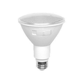 PAR30 12W 5CCT WHITE LED BULB