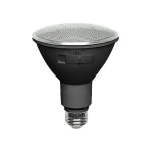 PAR30 12W 5CCT LED BULB BLACK