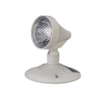 2W EMERGENCY LED REMOTE HEAD (SINGLE)