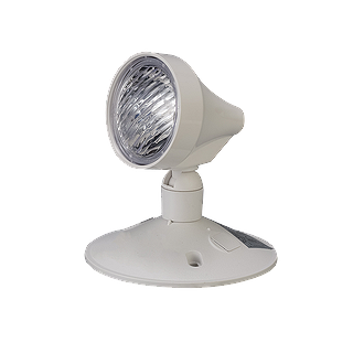 2W EMERGENCY LED REMOTE HEAD (SINGLE)