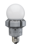 35W BOLLARD RETROFIT, 
REPLACES UP TO 175W HID, EX39, 5000K 120-277V