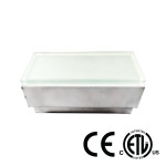 WALK ON INGROUND BRICK LIGHT, 24V DC, 2.6W, 3000K WARM WHITE
