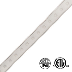 OUTDOOR, 120V AC, LED STRIP, 75' (23M), 2.5W/FT (8W/M), 60 LEDS/M, CRI 85, DIMMABLE, RGB