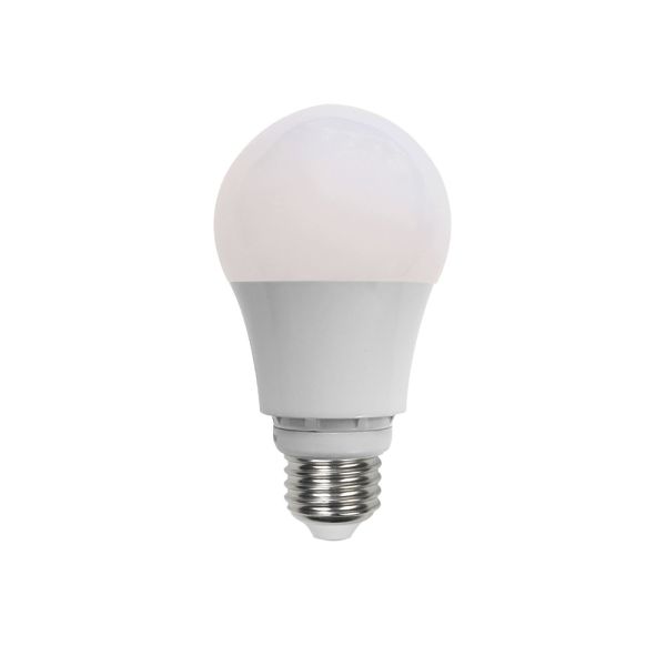LOW VOLTAGE A19 STYLE LED BULB, 10 - 30V DC, 7W, 3000K WARM WHITE