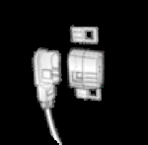 SINGLE COLOR NEON: BOTTOM EXIT POWER FEED