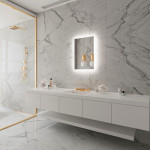 FROSTED RECTANGLE BACKLIT LED MIRROR 20X28 30K