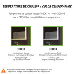 FROSTED RECTANGLE BACKLIT LED MIRROR 48X36 60K