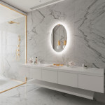 FROSTED OVAL BACKLIT LED MIRROR 24X36 60K